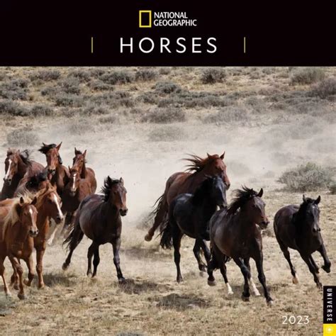 UNIVERSE NATIONAL GEOGRAPHIC: Horses 2023 Wall Calendar w £4.66 - PicClick UK