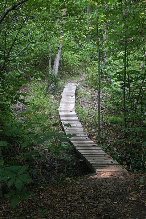 Virginia's York River State Park