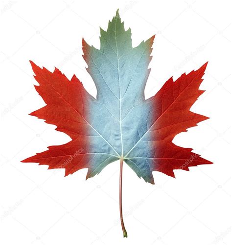 Canada Maple Leaf — Stock Photo © lightsource #12204265