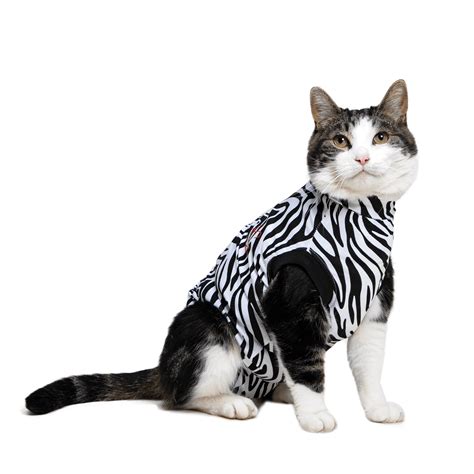 MPS-MEDICAL PET SHIRT® CAT - Medical Pet Shirts