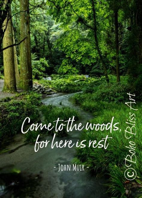 John Muir Quote: Come to the woods for here is rest. Nature | Etsy ...