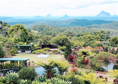 Maleny Botanical Gardens Picnic | Picnics & Proposals