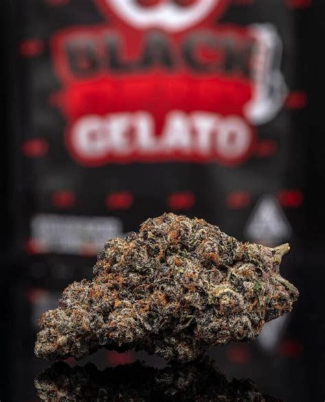 Black Cherry Gelato Strain - California Green House