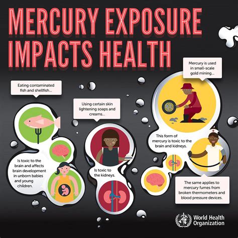 Health Effects of Mercury Toxicity and Heavy Metal Poisoning | Mercury ...