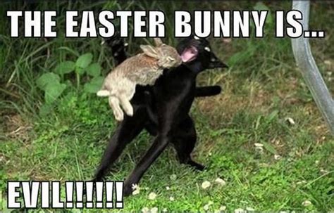 #christian Easter memes | Easter humor, Funny easter memes, Happy ...