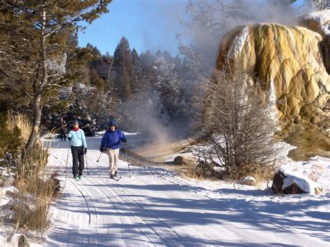 9 Reasons to Visit Yellowstone in the Winter