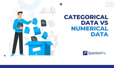 Categorical Data vs Numerical Data: The Differences | QuestionPro