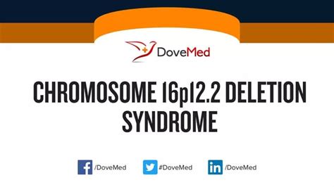 Chromosome 16p12.2 Deletion Syndrome - DoveMed