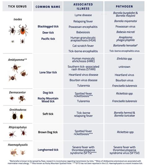 Parasite Treatment | Madison Area Lyme Support Group