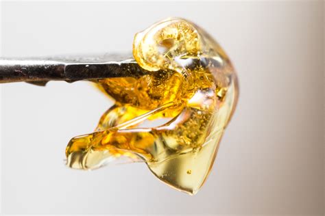 What is the difference between live resin and live rosin? - Dripp Extracts