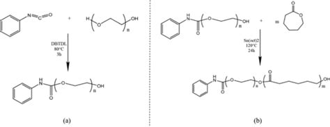 Blockage of the OH function of PEG by phenyl isocyanate (a). PEG-PCL... | Download Scientific ...