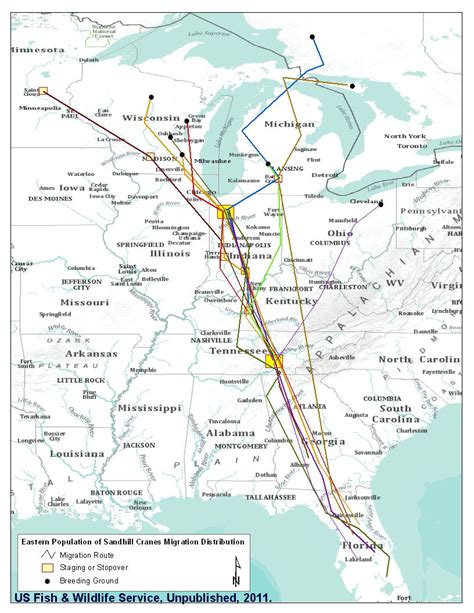 The Use of Satellite Telemetry to Evaluate Migration Chronology and Breeding, Migratory, and ...