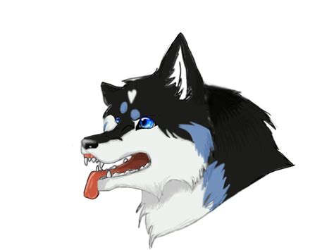 funny wolf face! by FrostedCanid on DeviantArt