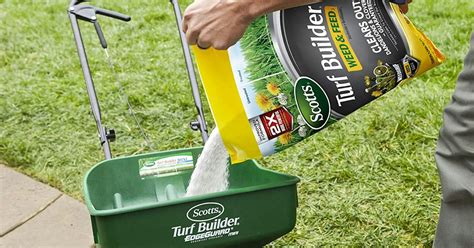 The 4 Best Weed Killers For Lawns