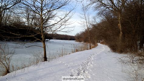 🔥 [40+] Winter Covered Bridge Wallpapers | WallpaperSafari