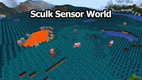 This is what happens when the entire world is Sculk Sensors. - YouTube