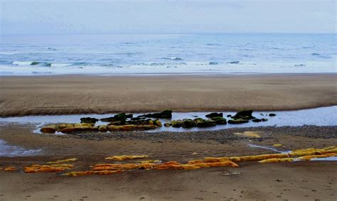 Berwick-upon-Tweed Beach - Photo "Berwick-upon-Tweed" :: British Beaches