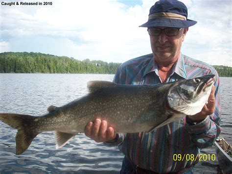 Chapleau Lake Trout Fishing