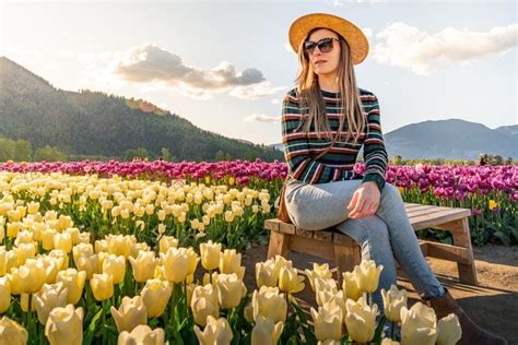 Wander the tulip fields in Chilliwack: Tulips of the Valley | Non Stop ...