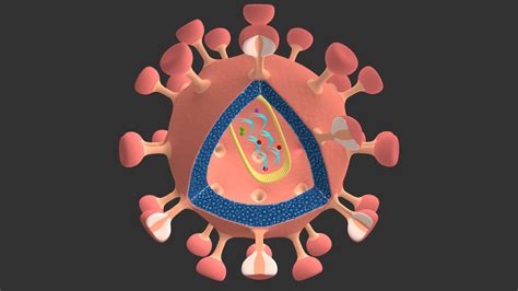 hiv virus 3d model