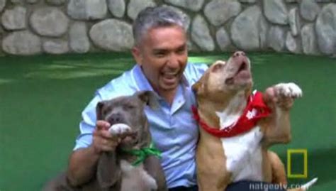 The Dog Whisperer Celebrates its 100th Episode - PetsBlogs