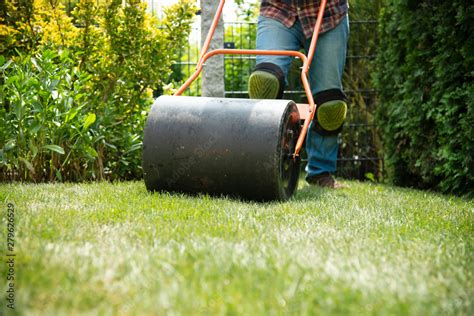 Installing turf rolls in the garden Stock Photo | Adobe Stock