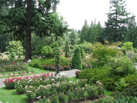 Portland Rose Garden Rose Garden, Portland, Places Ive Been, Golf Courses, Favorite Places ...