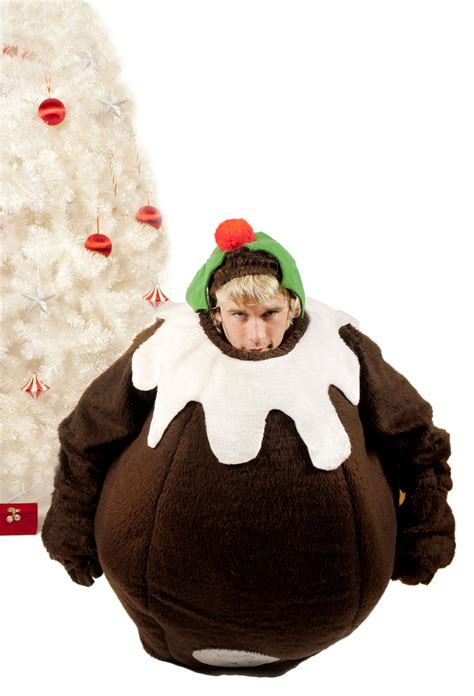 Christmas Pudding Costume