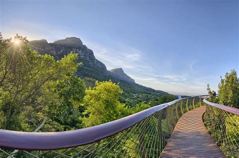 Kirstenbosch Botanical Gardens - Southern Africa 360