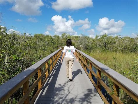 Fee Increases Coming To Everglades National Park To Help With Deferred ...