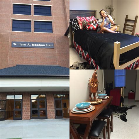 Jacksonville State University dorm room | University dorms, Dorm ...