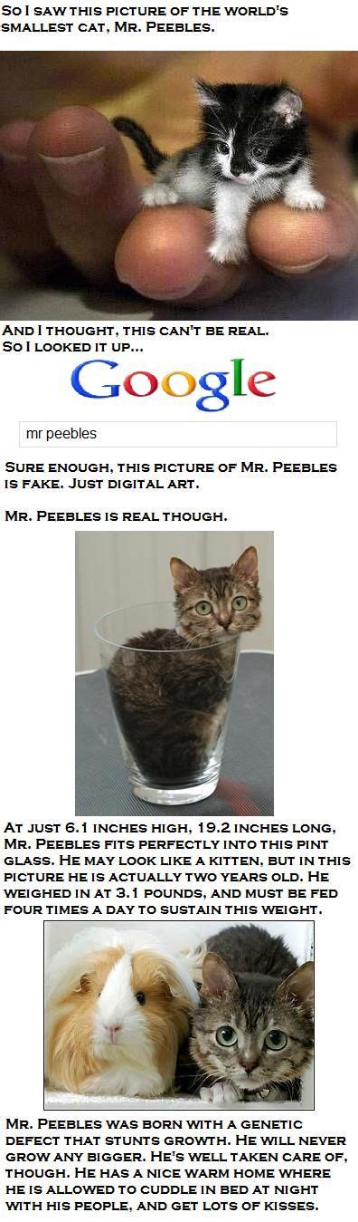 Mr Peebles