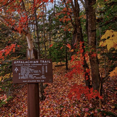 ULTIMATE 2024 Maine Fall Foliage Map + Peak Prediction Guide