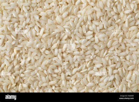 Italian Carnaroli risotto rice full frame Stock Photo - Alamy