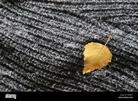 autumn background - yellow leaf Stock Photo - Alamy