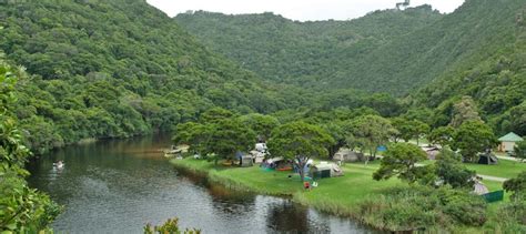 Wilderness Ebb-and-Flow Camp, Garden Route