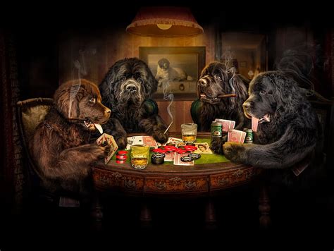 Discover more than 66 dog playing poker wallpaper super hot - in.cdgdbentre