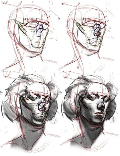 Head Drawing Reference and Sketches for Artists