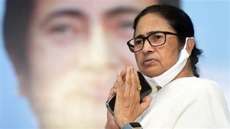 Why did Mamata Banerjee put Trinamool Congress' expansion plan on hold?