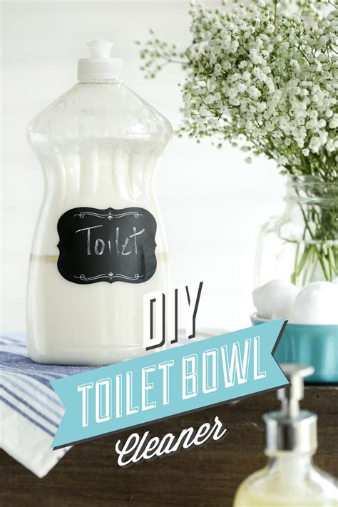 DIY Toilet Bowl Cleaner - Live Simply