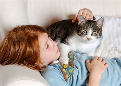 Kids and Cats Together: 7 Things to Know to Keep Everyone Safe - Vetstreet | Vetstreet