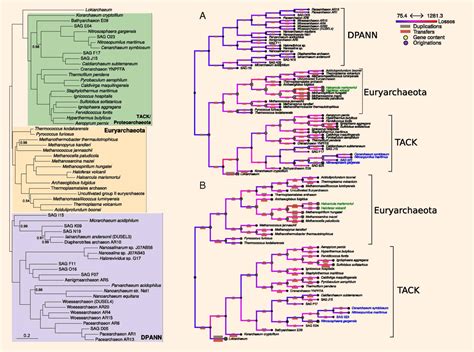 Scientists Improve Evolutionary Tree of Life for Archaea | Sci.News