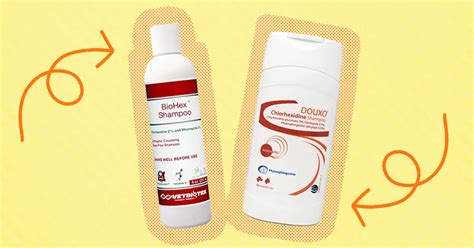 4 Best Dog Shampoos For Allergies To Help Your Itchy Dog - DodoWell - The Dodo