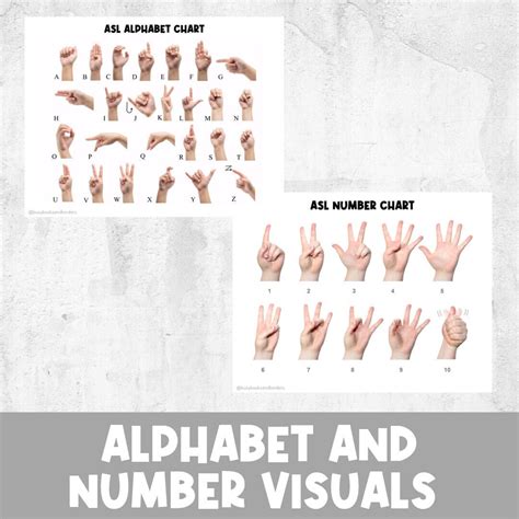 ASL Alphabet and Numbers Posters Hand Signs Sign Language Flashcards ...