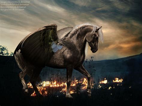 Winged Horse by CynicalExpressions on DeviantArt