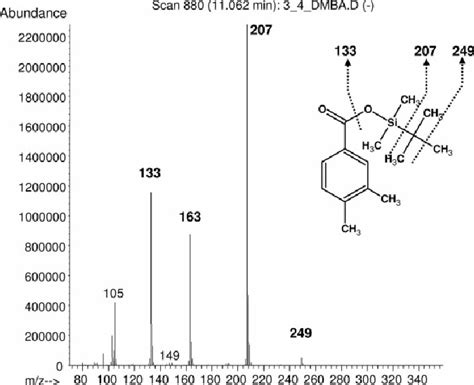 EI mass spectrum and fragmentation scheme of the tert... | Download Scientific Diagram