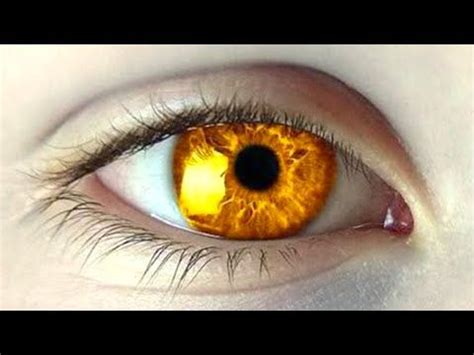 15 RAREST Eye Colors People Actually Have - YouTube | Rare eye colors, Rare eyes, Eye color