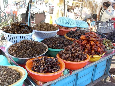 World Adventures: Cambodian Street Food