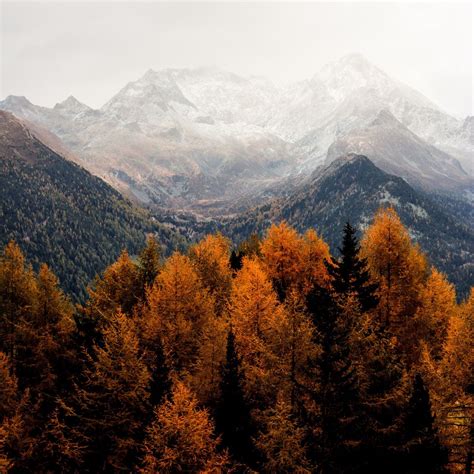 Pin by Andrea Hoctor on Autumn moodboard | Autumn aesthetic, Mountain aesthetic, Scenery