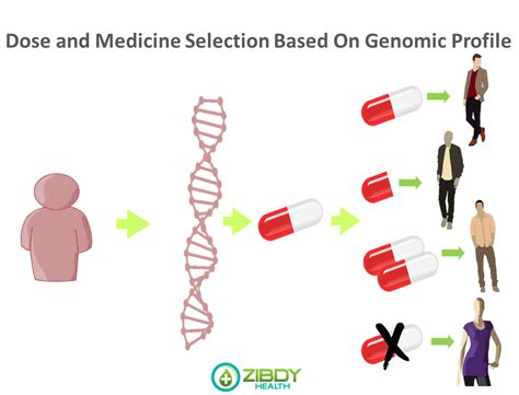 Pharmacogenetics involves variations in drug response due to genetic makeup | ZibdyHealth